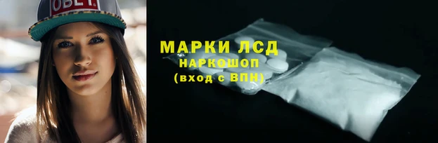 PSILOCYBIN Липки