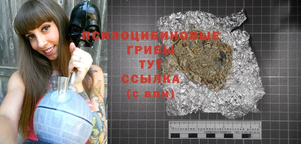 PSILOCYBIN Липки