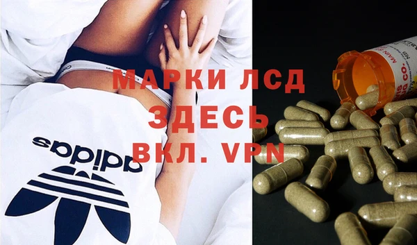 PSILOCYBIN Липки