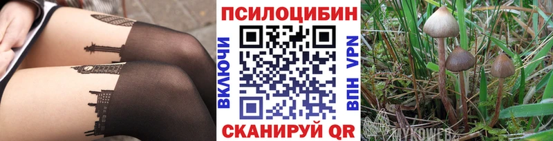 Галлюциногенные грибы Cubensis Купить закладки Шарья